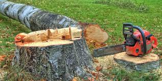 Best Tree Health Inspection  in Crockett, CA